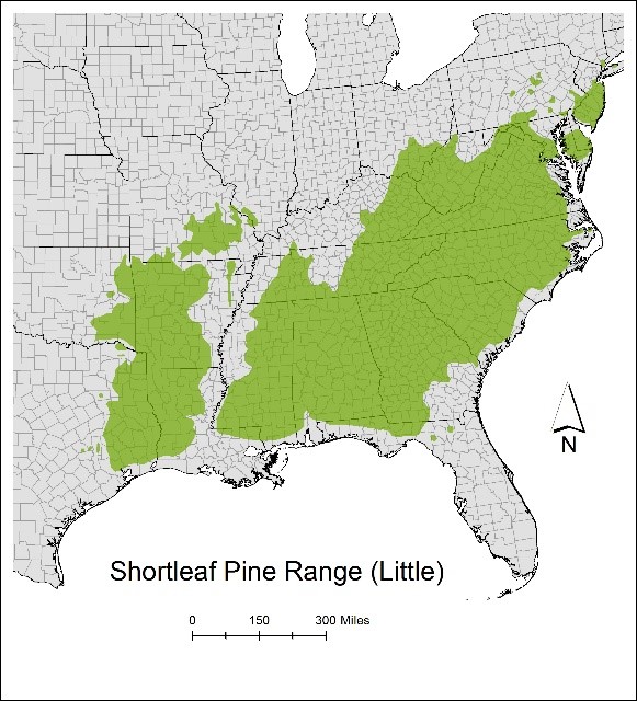 Shortleaf pines map region