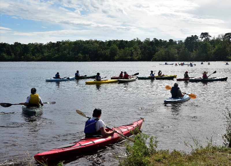 Colliers Mills Wildlife Management Area 