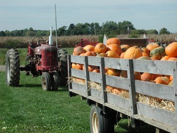 Halloween haunted hayride 