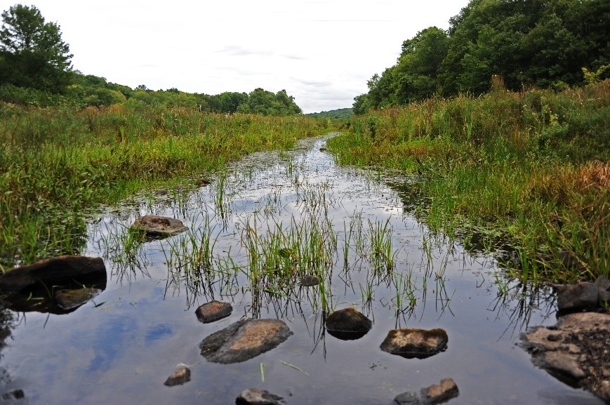 Sandy Urgo/The Land Conservancy of New Jersey