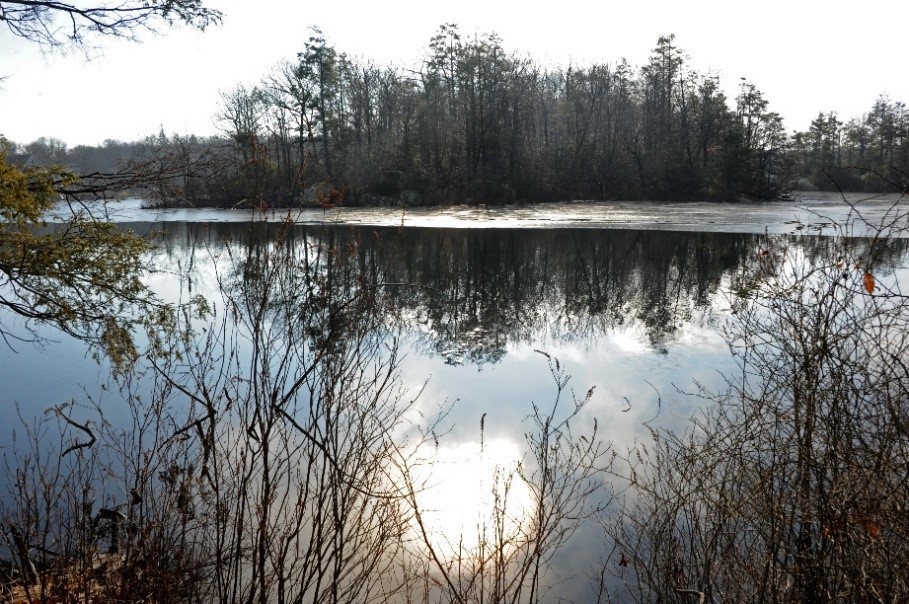 Sandy Urgo/The Land Conservancy of New Jersey