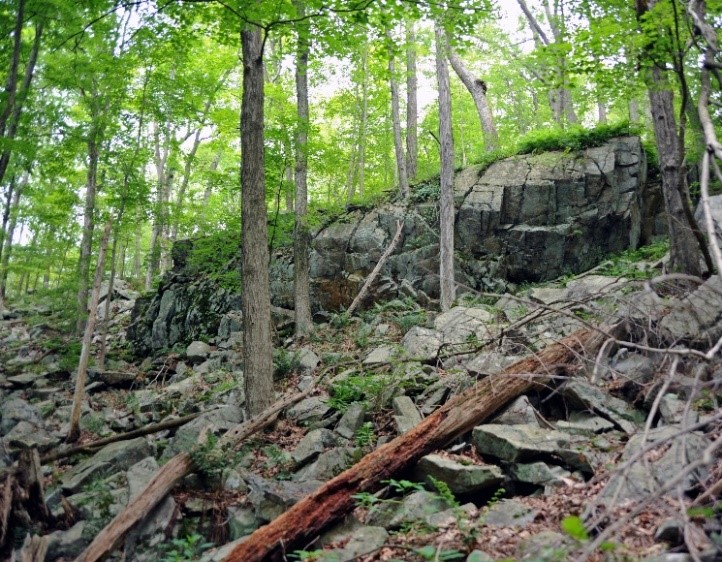 Sandy Urgo/The Land Conservancy of New Jersey