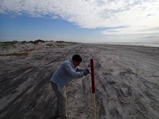 photo: North Brigantine Natural Area