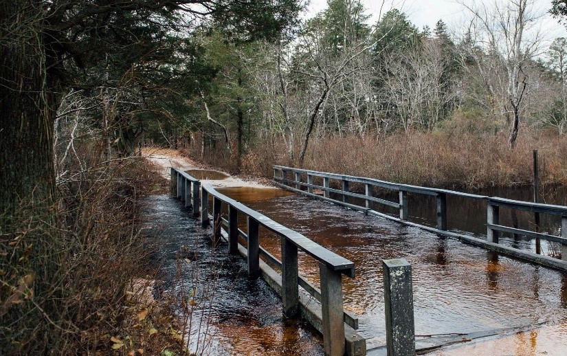 Flooded bridge in Wharton State Forest
