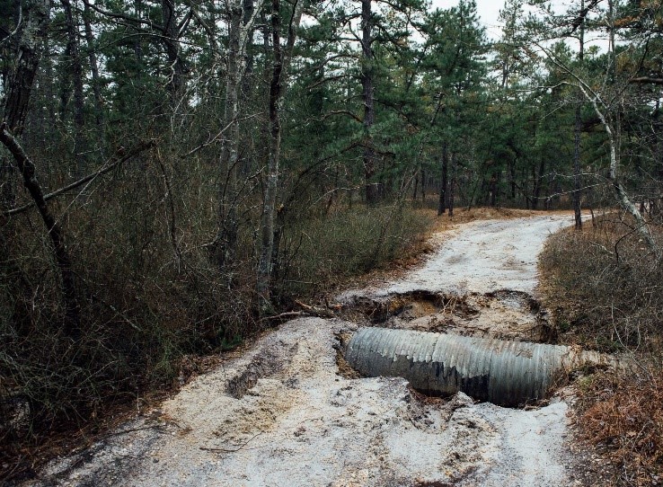 Culvert road wash-out in Wharton State Forest