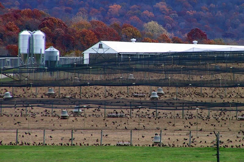 Rockport Game Farm in Mansfield Township