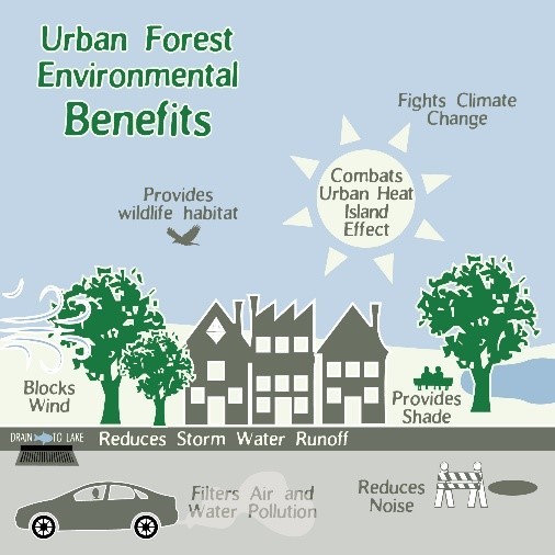 Urban Forest Environmental Benefits