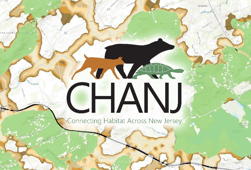 CHANJ Logo