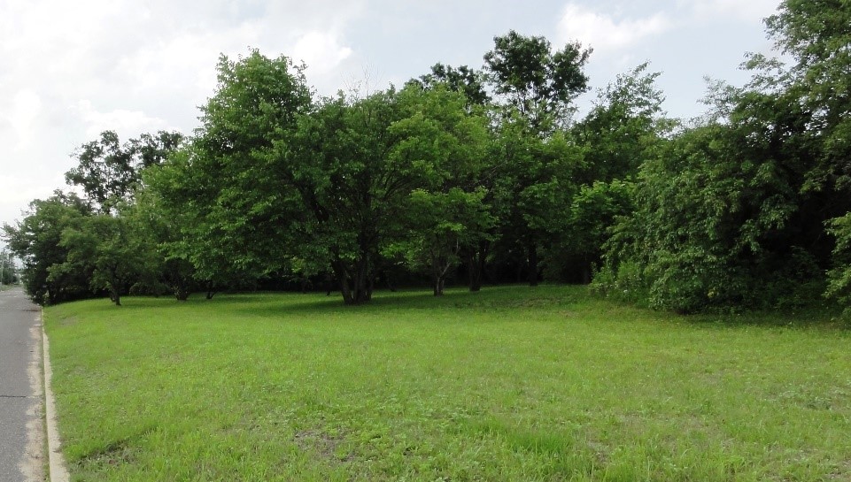 DEP Photo-Blue Acres preserved land in Sayreville