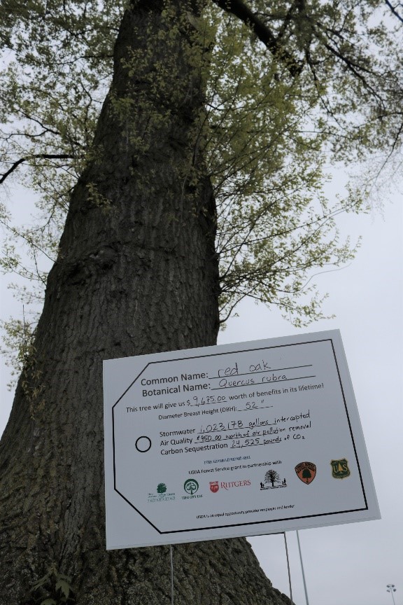 Ecosystem services information provided for 2019 NJ State Arbor Day celebration on Red Oak at Rutgers University, Cook/Douglas Campus.