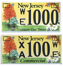 Treasure Our Trees License Plates.
