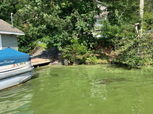 photo: July 23, 2019 Harmful Algal Bloom visible, Crescent Cove, Lake Hopatcong
Source: DEP
