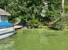 photo: July 23, 2019 Harmful Algal Bloom visible, Crescent Cove, Lake Hopatcong
Source: DEP
