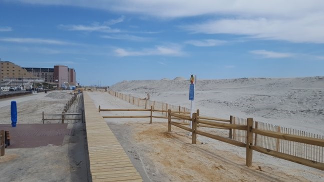 Removal of mature dune, including  trees/woody vegetation and freshwater wetlands, and bulkhead installation along  North Wildwood's oceanfront