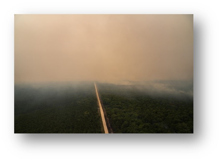 The Washington Turnpike Fuel Break project as seen from a helicopter during the Mullica River Wildfire, June 2022.