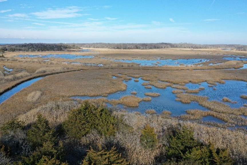 Higbee Beach Wildlife Management Area