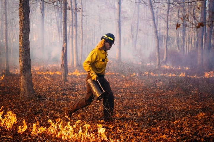 Annual Prescribed Burning Program