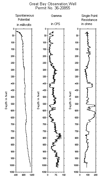 Geophysical Log