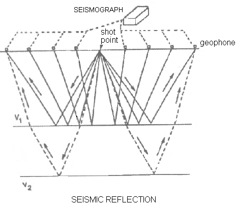 SEISMIC REFLECTION