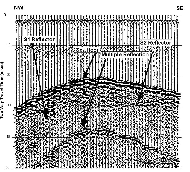 SEISMIC REFLECTION DATA