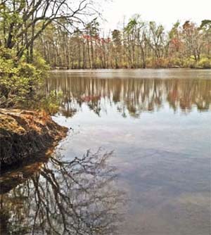 Hamilton Preserve