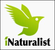 iNaturalist