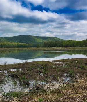 Walkill Preserve