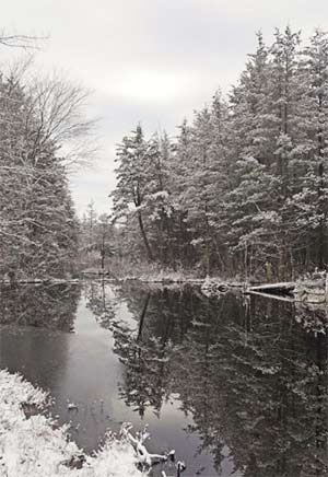 Warren Grove Bogs Preserve