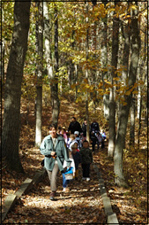 Hiking in the woods