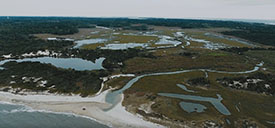 Photo: Higbee Beach Restoration Project