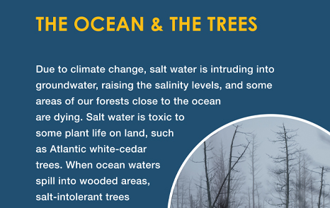 Climate Change Exhibit