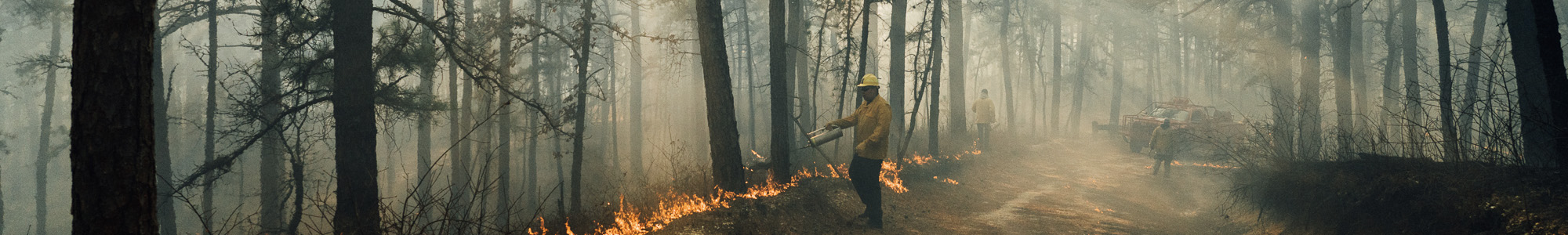 New Jersey Forest Fire Service