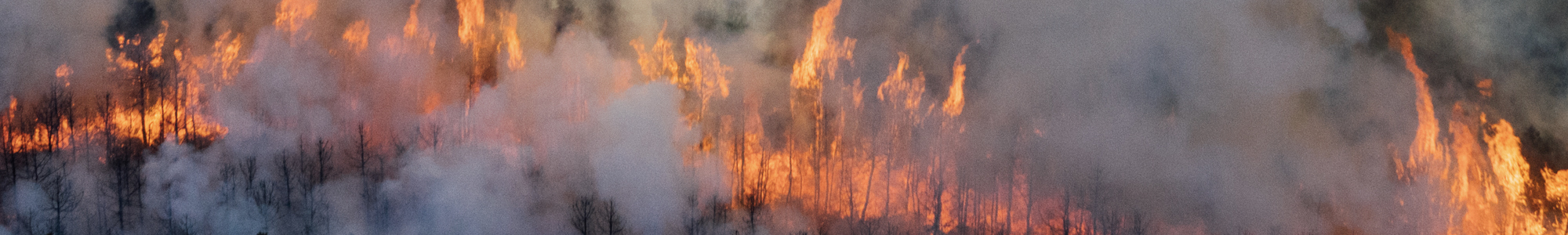 New Jersey Forest Fire Service