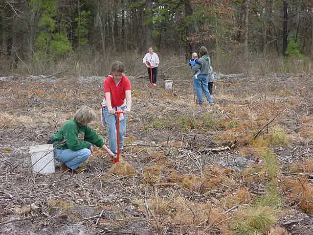 picture of Volunteers