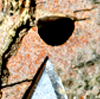 d-shaped EAB hole