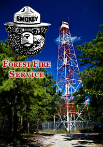 Forest Management