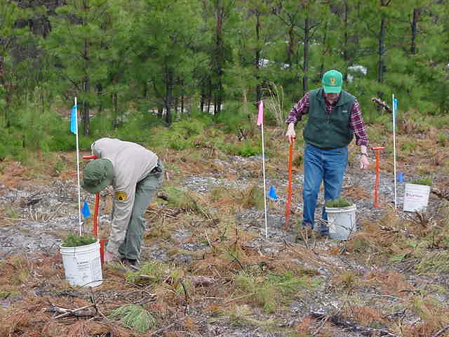picture of Volunteers