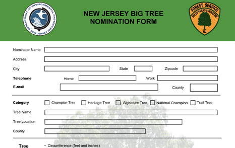 Nominate a Big Tree