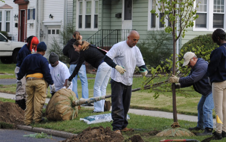 New Jersey Urban & Community Forestry Brochure