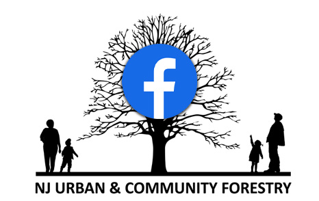Follow New Jersey Urban and Community Forestry on Facebook