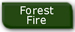 Forest Fire