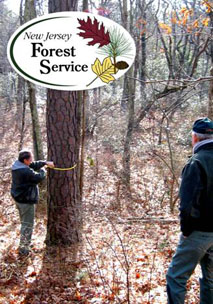 Forest Management