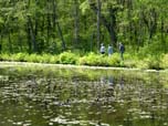 Visitors walking along Pond