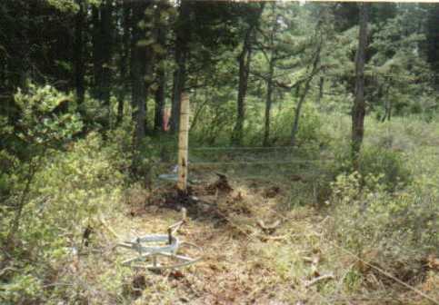 Stringing the fence line