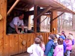 Kindergarten learning maple sugaring