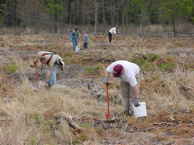 picture of Volunteers