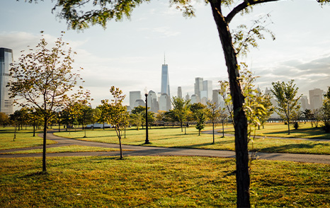 Liberty State Park Design Task Force Meeting - May 21