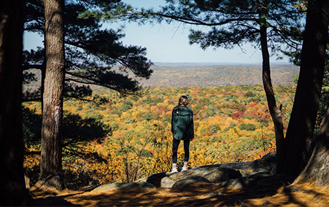 Trail Guides