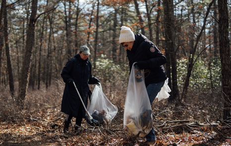 Volunteer in State Parks