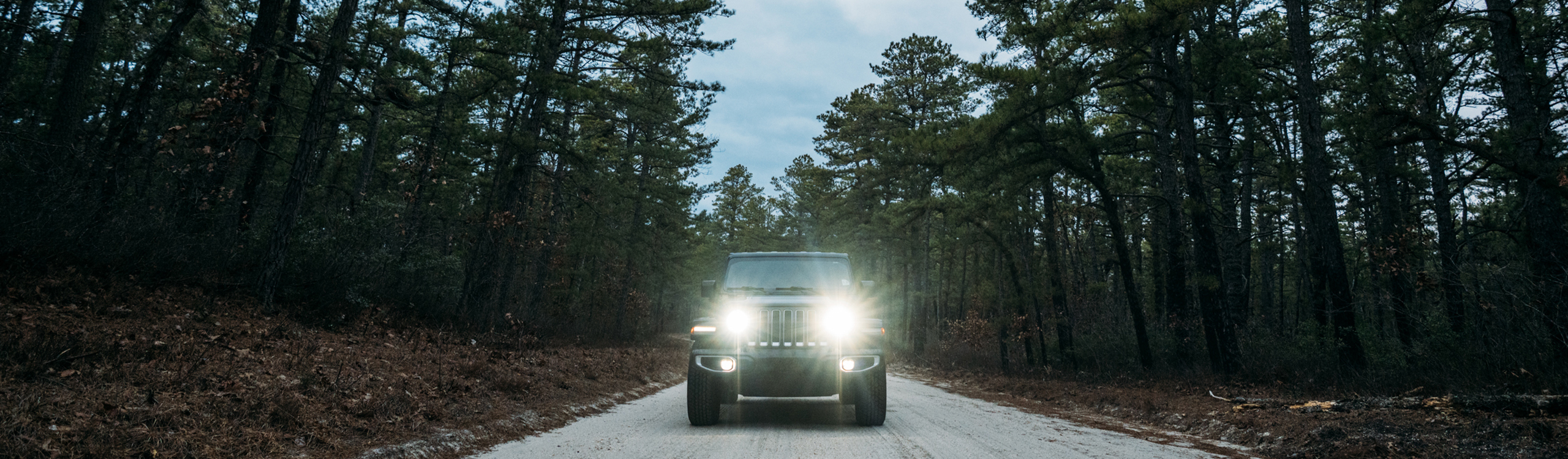 Public Comment Period: Wharton State Forest Visiting Vehicle Use Map